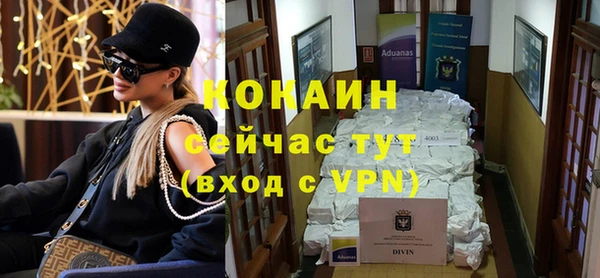 стаф Новодвинск