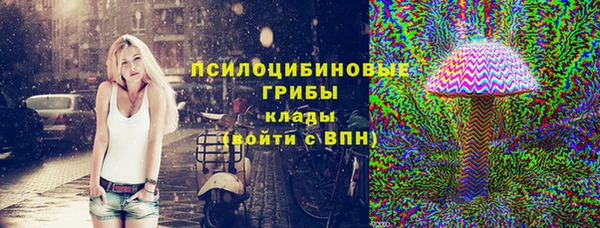 стаф Новодвинск